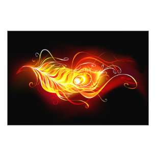 Fire Peacock Feather Photo Print