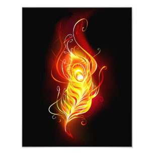 Fire Peacock Feather Photo Print