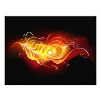 Fire Peacock Feather
