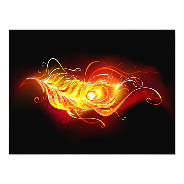 Fire Peacock Feather Photo Print (Front)