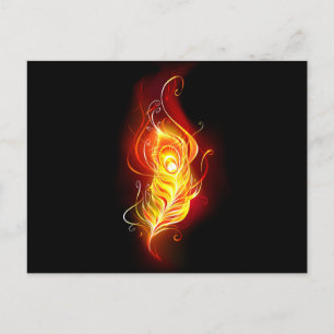 Fire Peacock Feather Postcard
