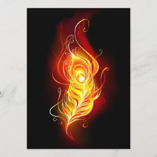 Fire Peacock Feather Programme