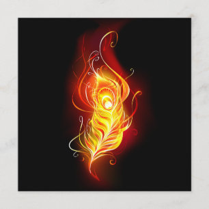 Fire Peacock Feather Programme