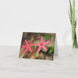 Fire Pink - Customized2 Card