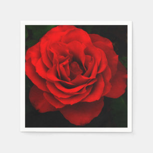 Fire Red Rose-Paper Cocktail Napkins