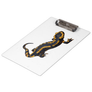 Fire Salamander Clipboard