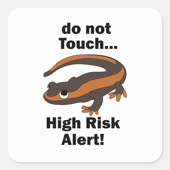 Fire Salamander Do Not Touch High Risk Alert Funny Square Sticker (Front)