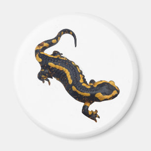 Fire Salamander Magnet
