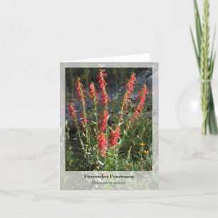 Firecracker Penstemon - Native Notecard