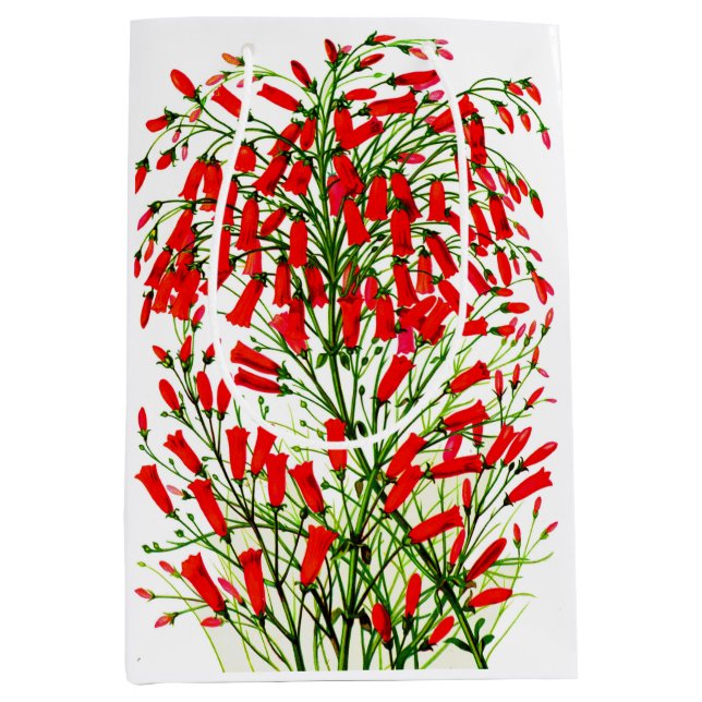 firecracker plant print medium gift bag (Front)
