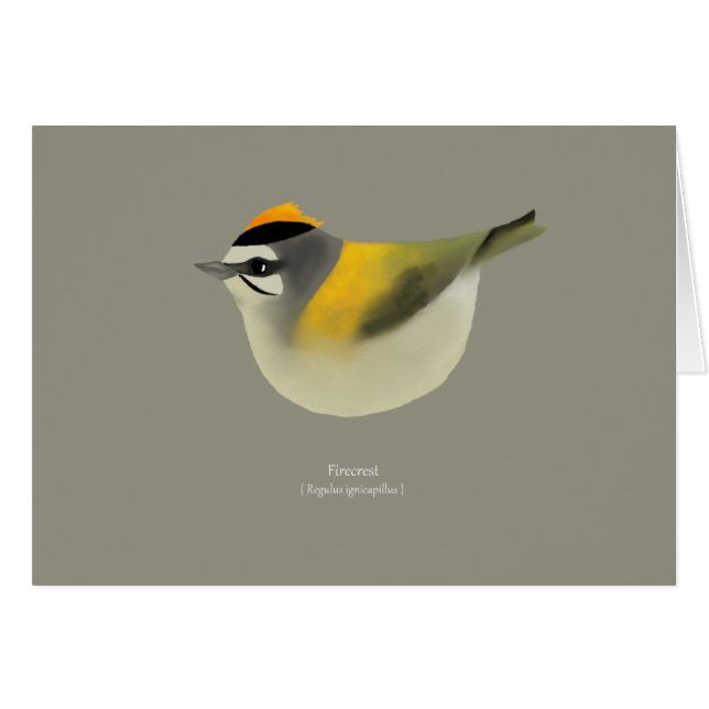 Firecrest (Front Horizontal)