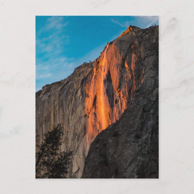 Firefall Postcard (Front)