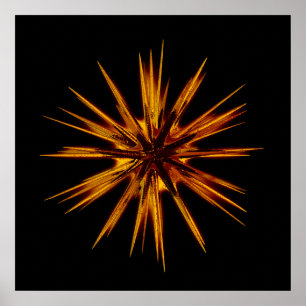fireflake poster