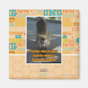 Firefox rejects magnet