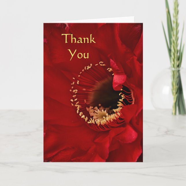 Firelight cactus Thank you Card (Front)