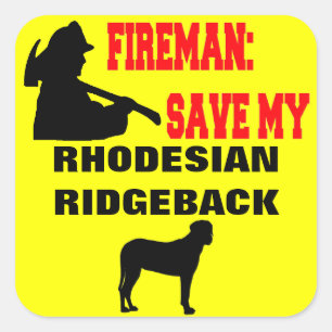 Fireman Save My Rhodesian Ridgeback Dog Square Sticker