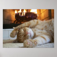 Fireplace Cat