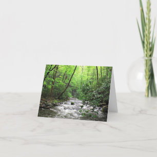 Fires Creek Card