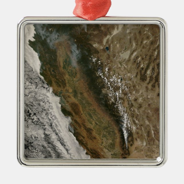 Fires in California Metal Tree Decoration (Front)
