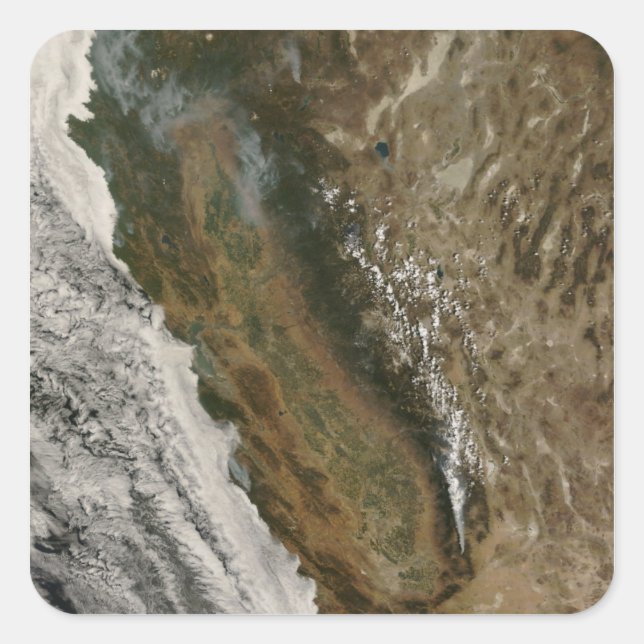 Fires in California Square Sticker (Front)