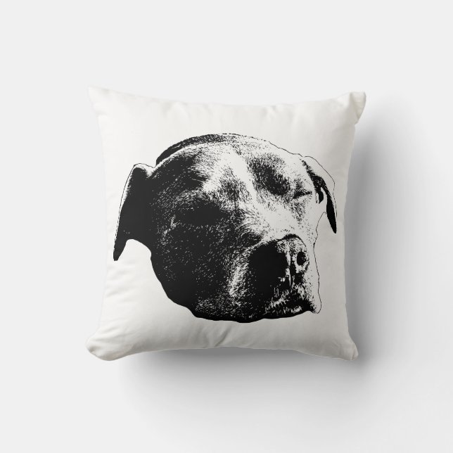 Fireside Daydream Cushion (Front)