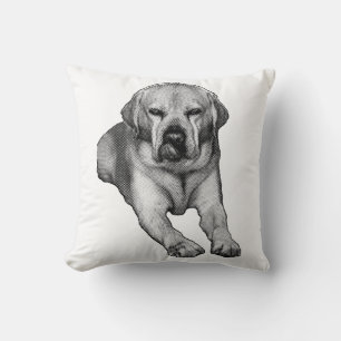 Fireside Tale in Ink Cushion