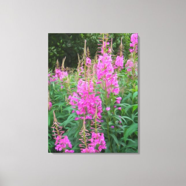 Fireweed Canvas Print (Front)