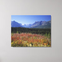 Fireweed flowers