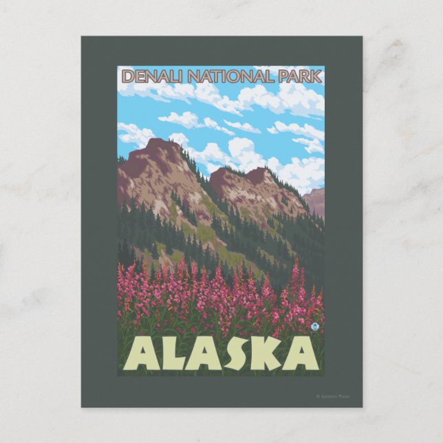 Fireweed & Mountains - Denali Nat'l Park, Postcard (Front)