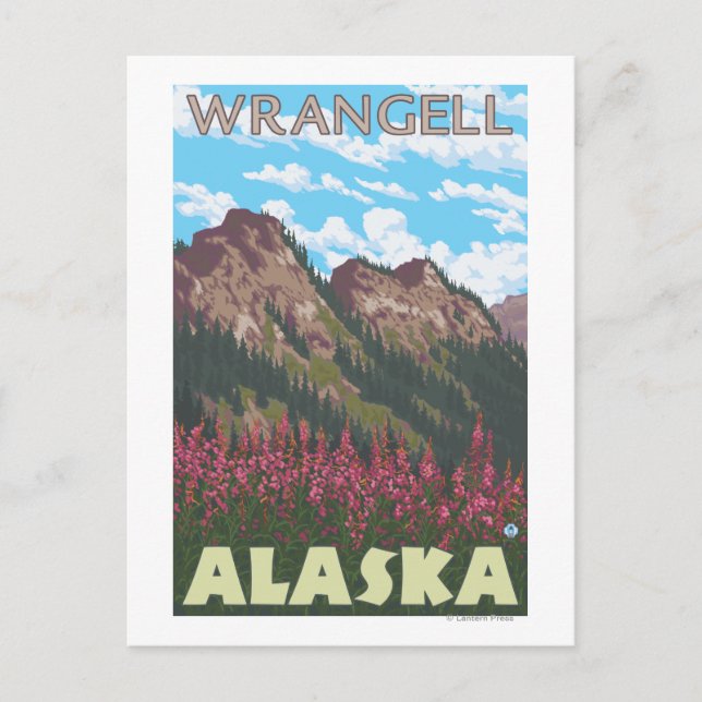 Fireweed & Mountains - Wrangell, Alaska Postcard (Front)