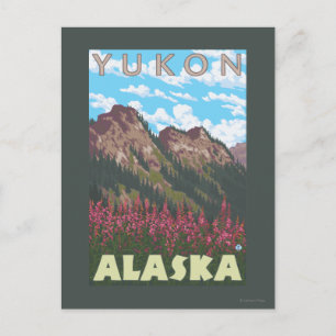 Fireweed & Mountains - Yukon, Alaska Postcard