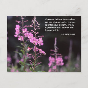 Fireweed Plants - ee cummings quote Postcard