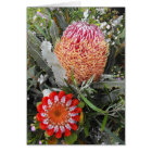 Firewood and Scarlet Banksia