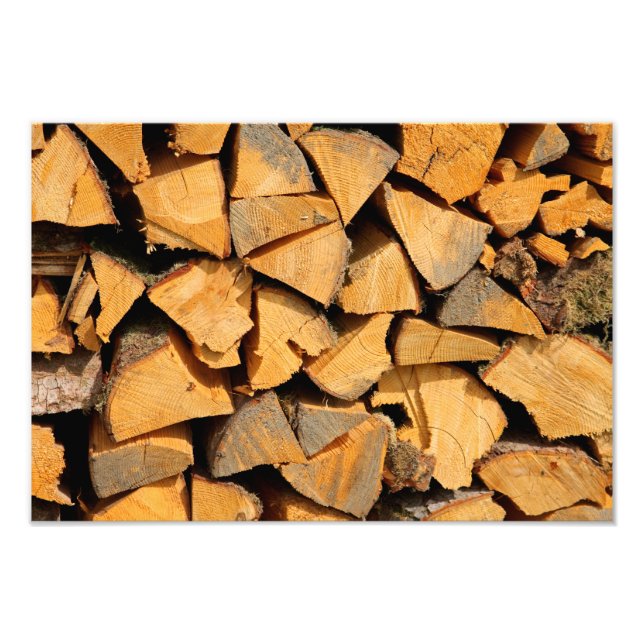 Firewood Photo Print (Front)