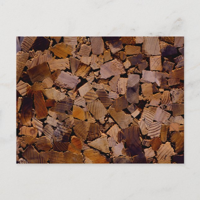 Firewood rustic cabin wood grain tree bark pattern postcard (Front)