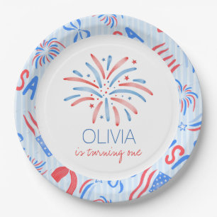 Firework Fourth of July Birthday Paper Plate