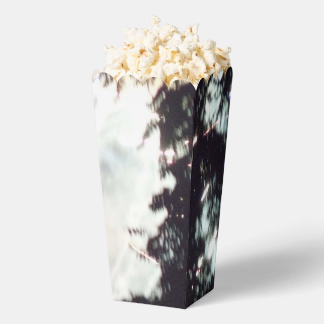 Fireworks 14 popcorn boxes (Popped)