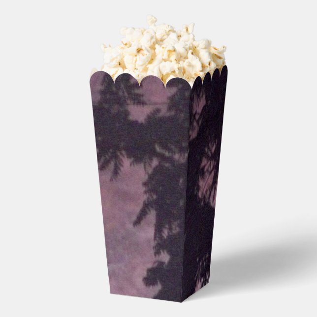 Fireworks 16 popcorn boxes (Popped)