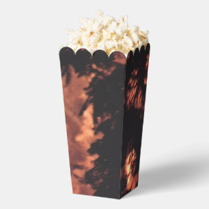 Fireworks 20 popcorn boxes