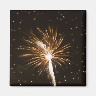 Fireworks display on Savannah River Magnet