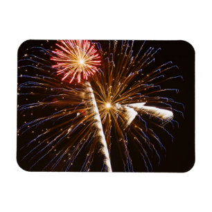 Fireworks display on Savannah River Magnet