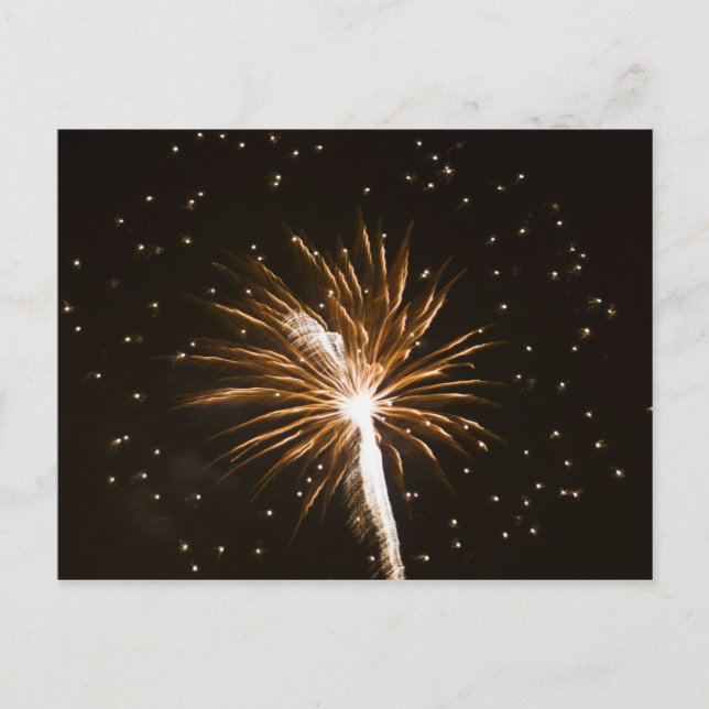 Fireworks display on Savannah River Postcard (Front)