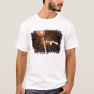 Fireworks display on Savannah River T-Shirt