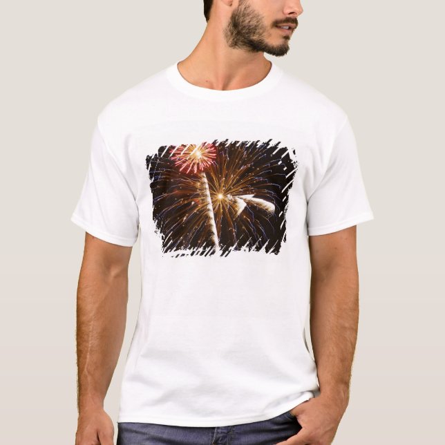 Fireworks display on Savannah River T-Shirt (Front)