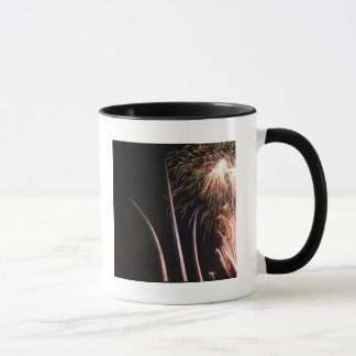 Fireworks light up the Air Force Memorial Mug