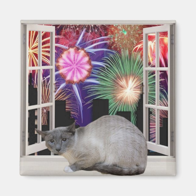 Fireworks Magnet (Front)