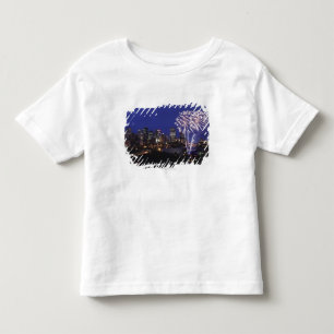 Fireworks Over The City Toddler T-Shirt