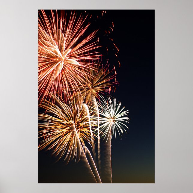 Fireworks P0541 Print (Front)