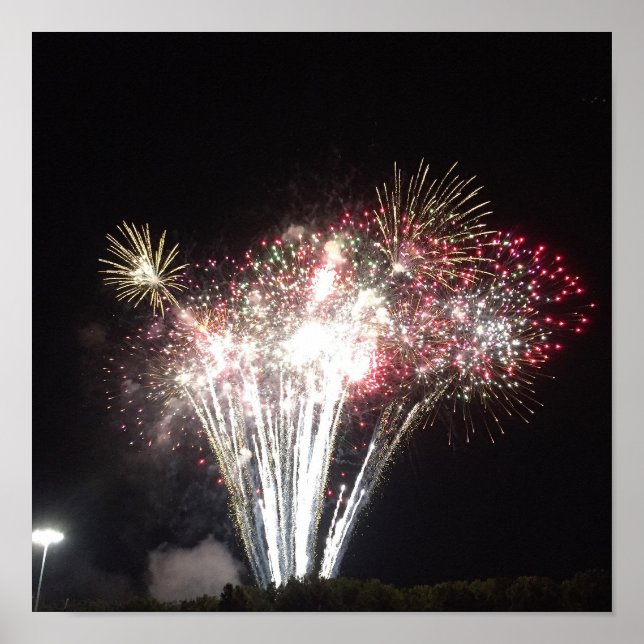 Fireworks Photo Poster (Front)