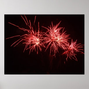 Fireworks Print